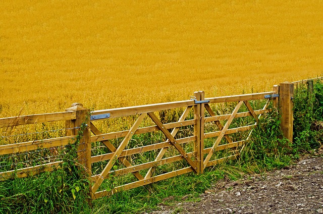 agriculture-71656_640.jpg